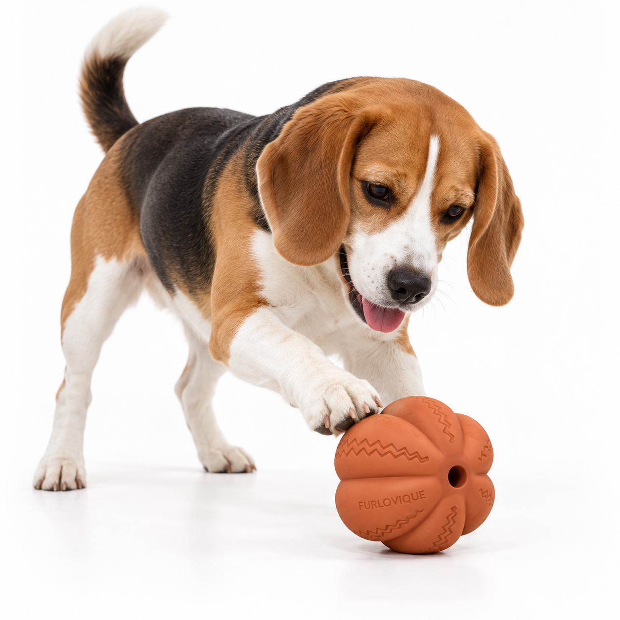 Furlovique BouncePod Treat & Play Toy