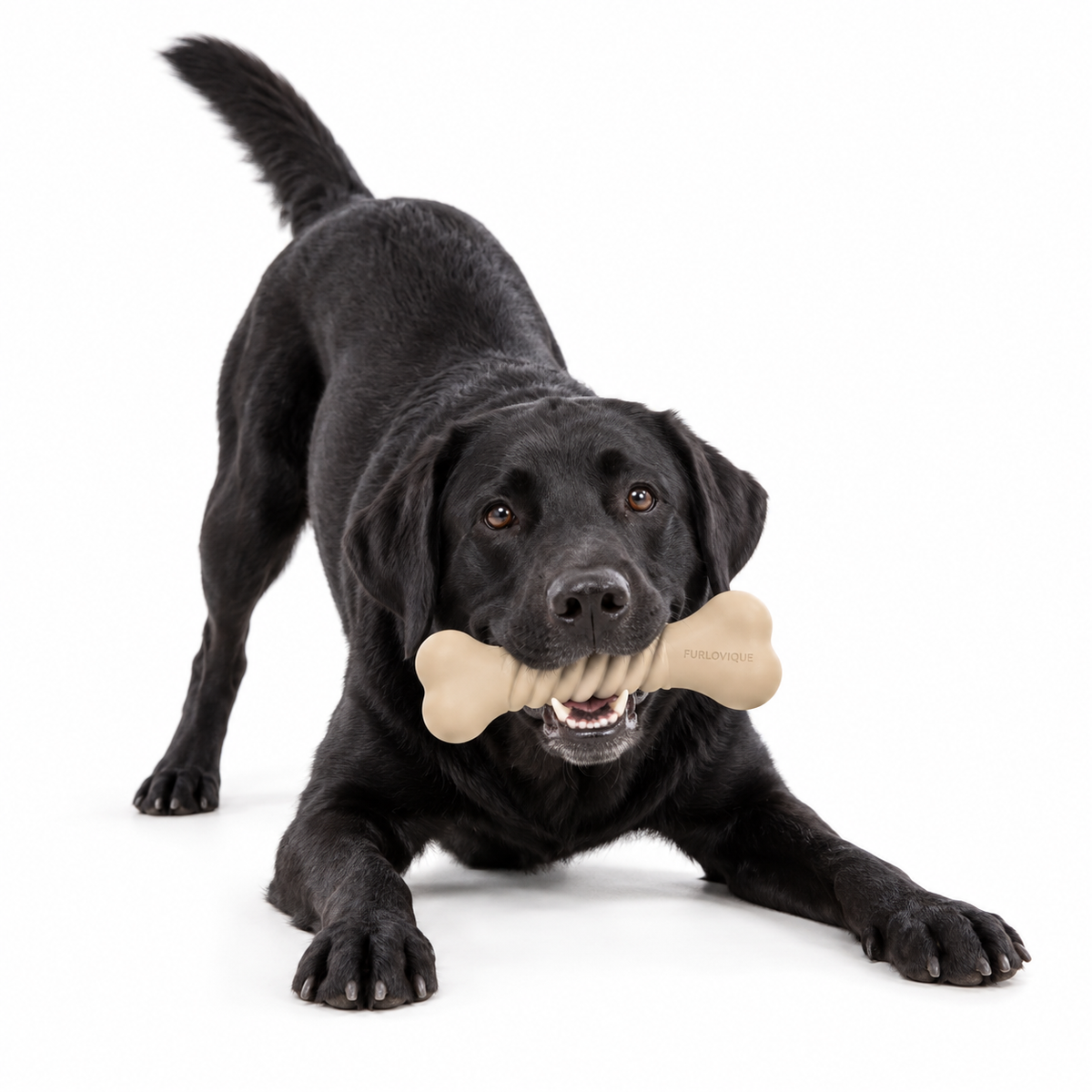 Furlovique TwistBone Textured Dog Chew Toy