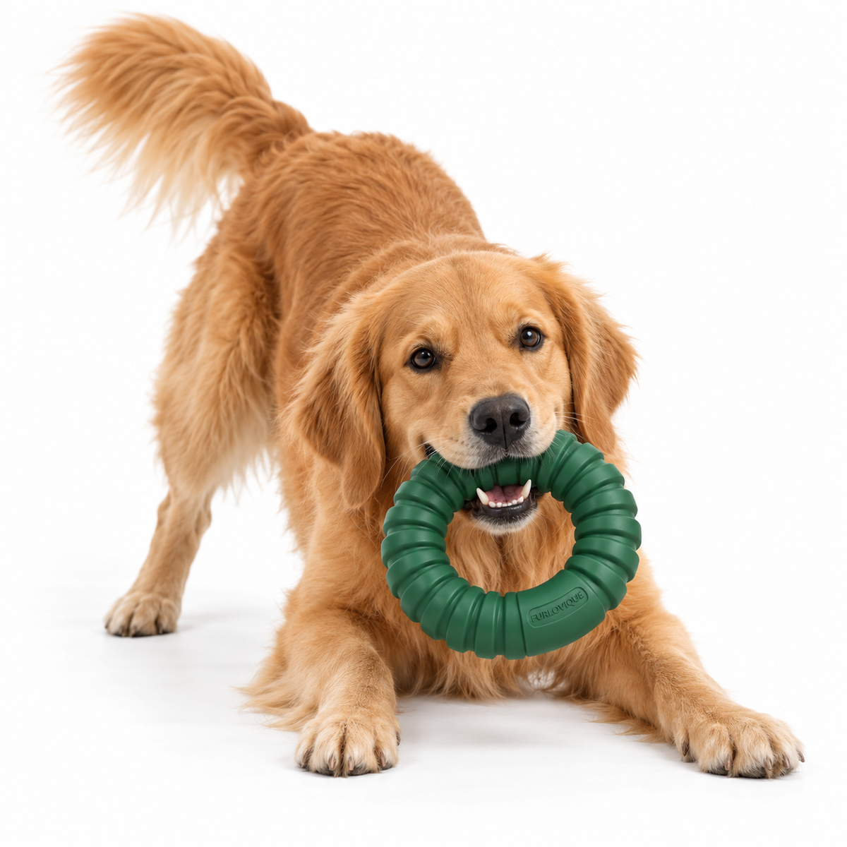 Furlovique RidgeRing Durable Dog Chew Toy